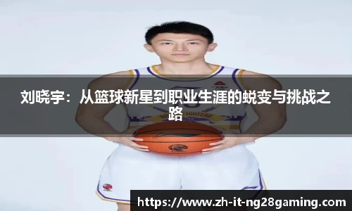 关键词4